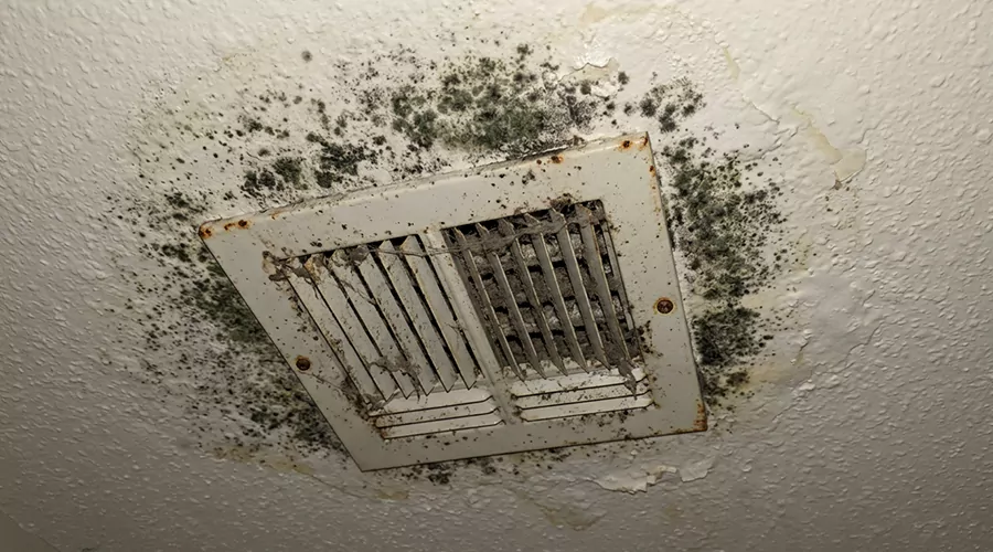 What Causes Mold in Air Ducts?