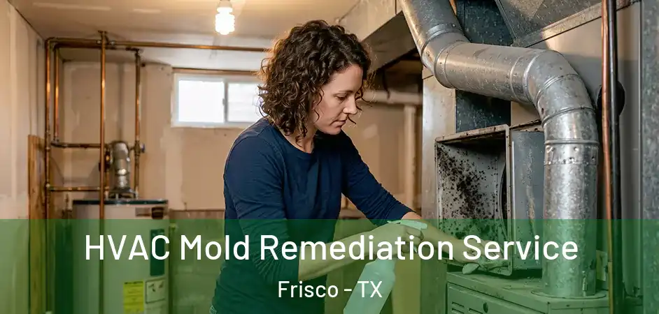  HVAC Mold Remediation Service Frisco - TX