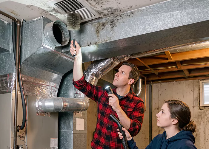 Premier HVAC Mold Remediation Company in Frisco